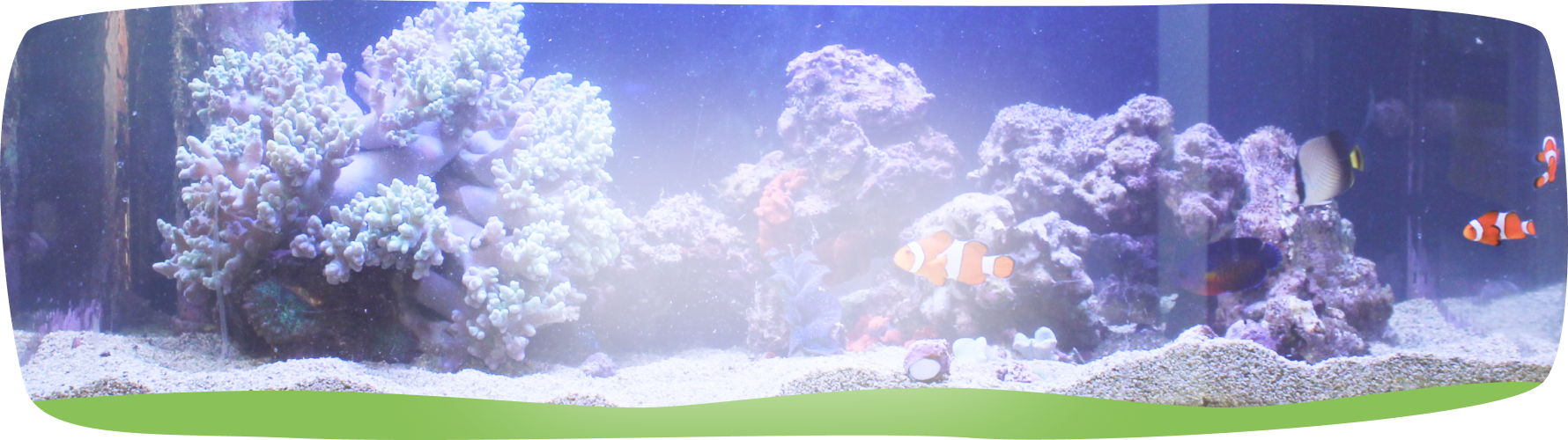 宮崎市の歯医者「矯正・小児ひまわり歯科」